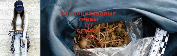 дмт Гусь-Хрустальный