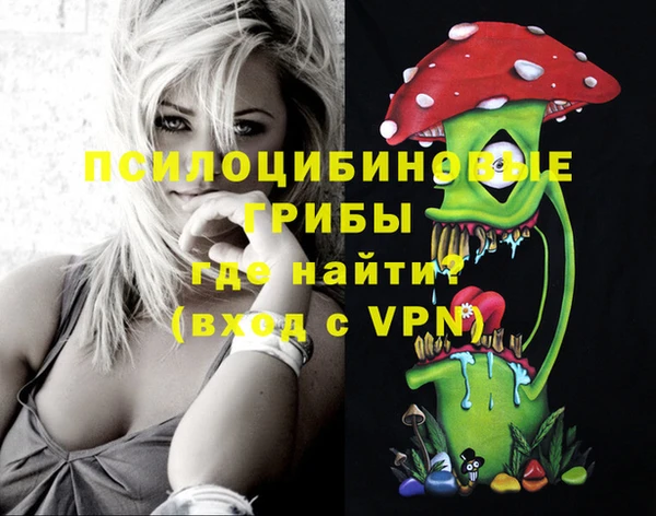 шишки Гусев