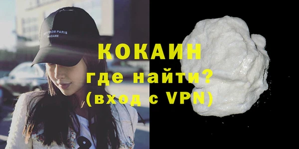 шишки Гусев
