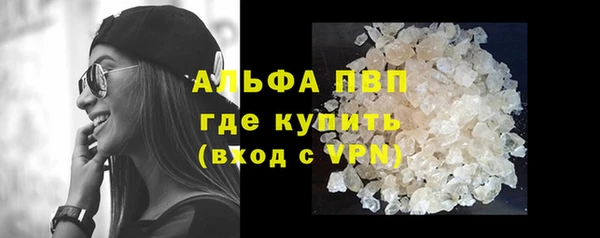 шишки Гусев