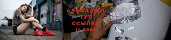 дмт Гусь-Хрустальный