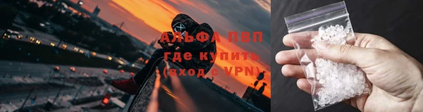 шишки Гусев