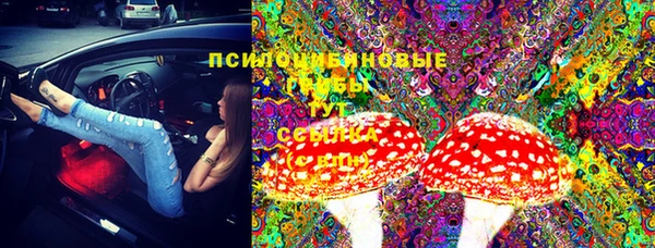 шишки Гусев