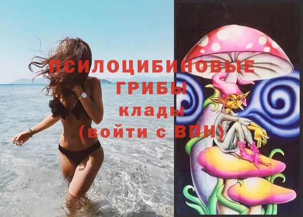 дмт Гусь-Хрустальный