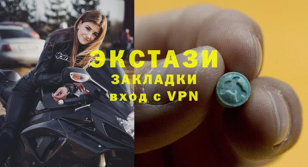 шишки Гусев
