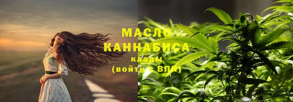 дмт Гусь-Хрустальный