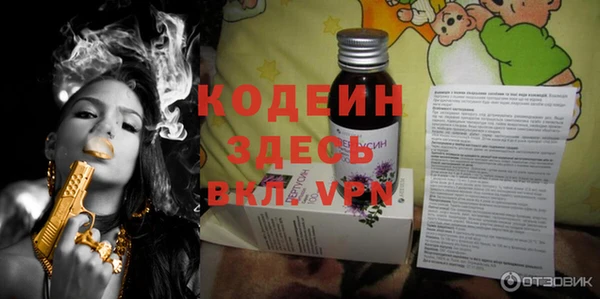 шишки Гусев