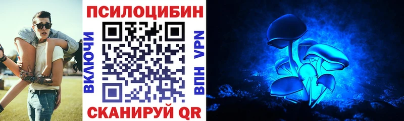 как найти   Юрга  Псилоцибиновые грибы Psilocybine cubensis 